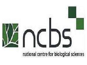 NCBS Recruitment 2023 – Apply Online for Various Vacancies of Project Associate Post