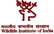 WII Recruitment 2022 – Apply E-Mail for 18 Vacancies of Project Associate Posts