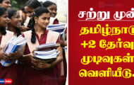 TN HSC Result 2023 – 12th Public Results Released | Download Now